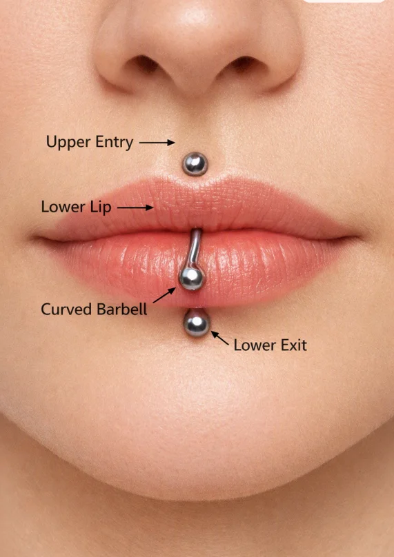Vertical Labret Piercing: Pain, Healing, Jewelry & Aftercare