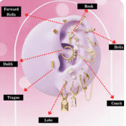 Ear piercing chart: Ear piercing meaning and overview