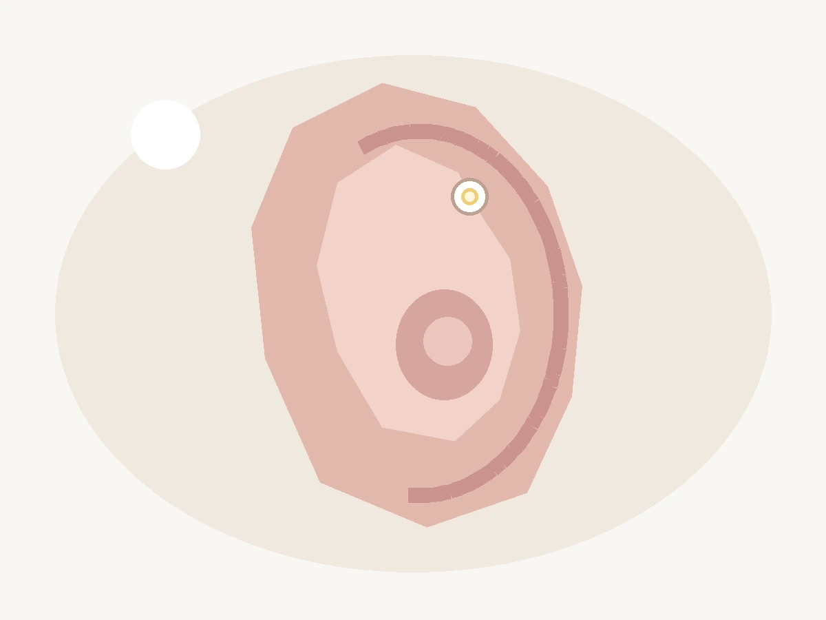 Forward Helix Piercing: Complete Guide to Placement, Pain, Healing, Jewelry & Aftercare