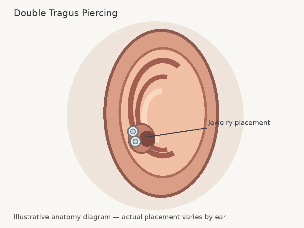 Double Tragus Piercing Placement, Pain, Jewelry, Healing Time & Aftercare